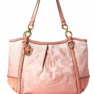 EUC COACH Alexandra Chain Ombre Purse